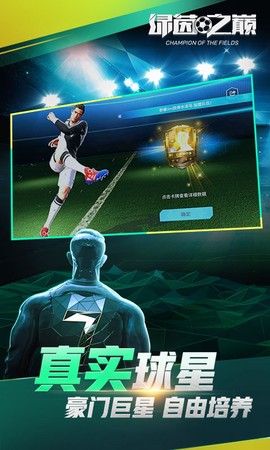 绿茵之巅图3