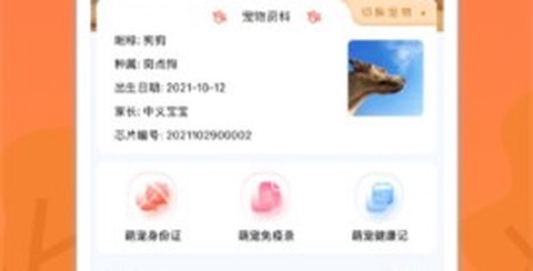 宠物芯管家[图1]