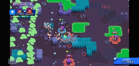 荒野乱斗官网[图8]