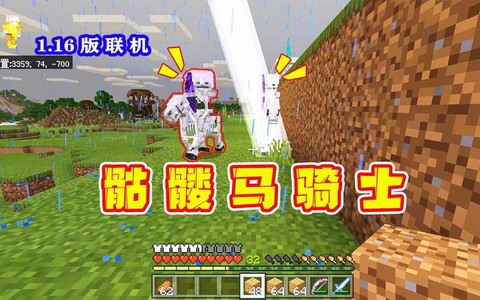 我的世界骷髅马装什么