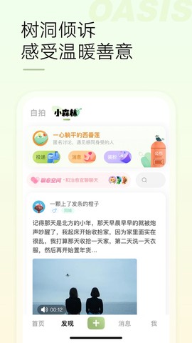 绿洲图2