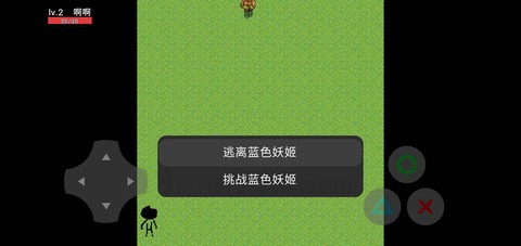 蓝色妖姬切尔西图3