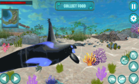 鲸鱼生存大作战图2