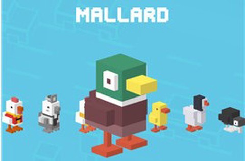 天天过马路[图6]