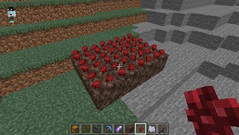 我的世界地狱疣怎么得[图1]