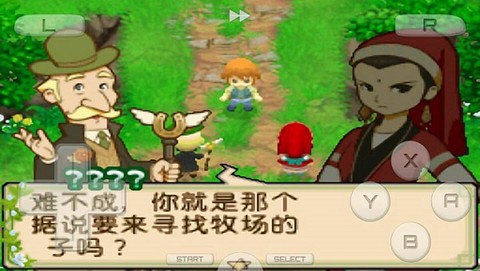 牧场物语双子村中文版图3