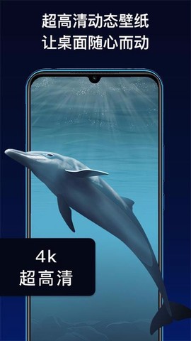 动态主题手机软件图3