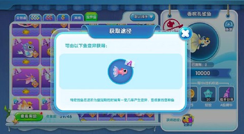 萌鱼泡泡[图3]