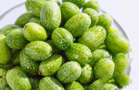 迷你世界野果要怎么种