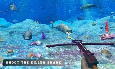 海底世界生存图2