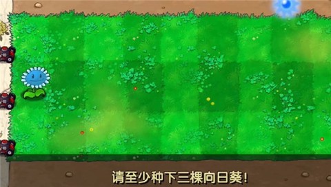 植物大战僵尸寒冰版[图10]