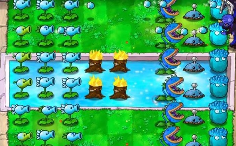 植物大战僵尸寒冰版图2