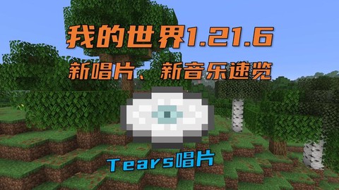 玩我的世界听什么音乐[图2]