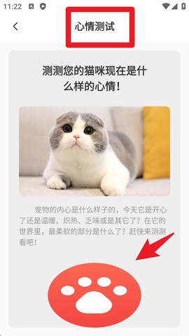 猫猫翻译器[图4]