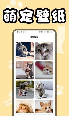 猫猫翻译器图1