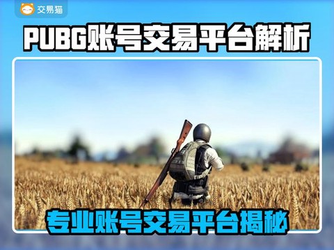 绝地求生怎么购买账号[图2]