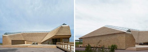 黑魂3屋顶鸟巢要什么