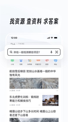 web浏览器图3