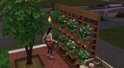 模拟人生4怎么种花[图1]