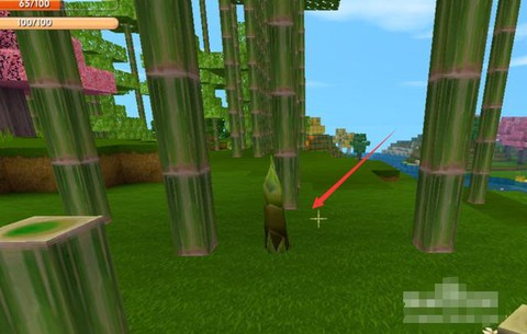 迷你世界怎么种竹子[图2]