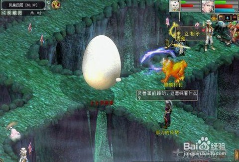 大话2灵兽蛋怎么孵化