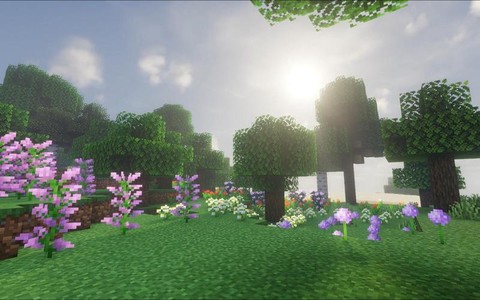 我的世界怎么去森林[图2]