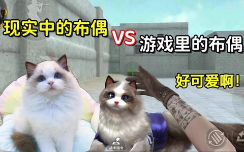 穿越火线猫枪怎么买