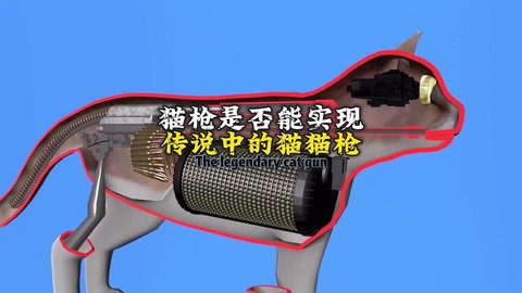 穿越火线猫枪怎么买[图2]