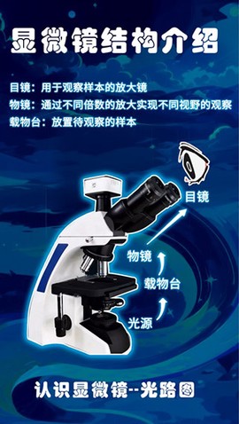 赫鲤显微镜[图1]