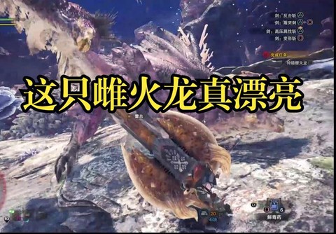 怪物猎人ol雌火龙的红玉有什么用[图1]