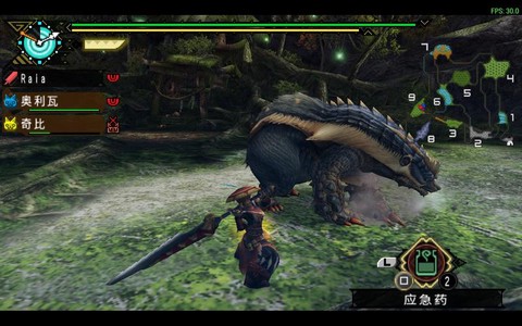 怪物猎人p3怎么改名[图2]