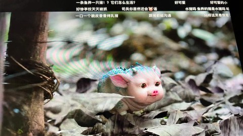 古剑奇谭2当康怎么抓[图1]