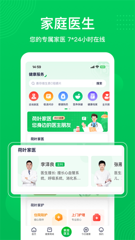 荷叶健康图1