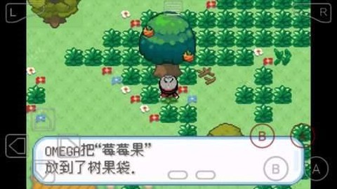 口袋妖怪剑盾[图3]