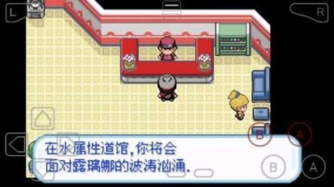 口袋妖怪剑盾图3