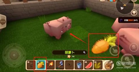 迷你世界的猪喜欢吃什么