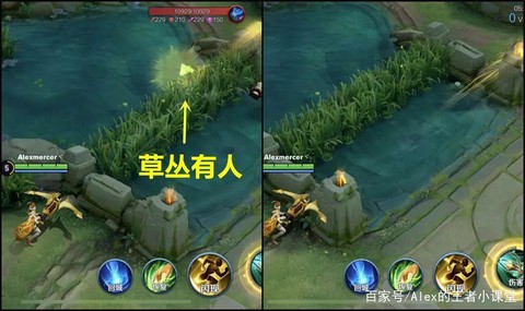 王者荣耀怎么探草丛