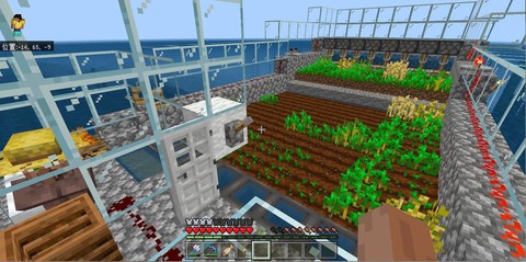 我的世界里怎么种菜