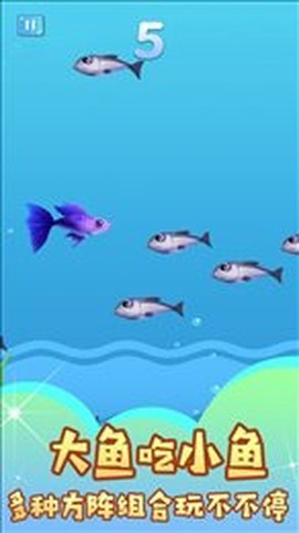 小鱼吃大鱼游戏图2
