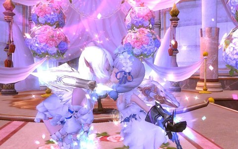 龙之谷鹦鹉是什么职业