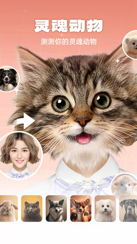 灵魂宠物图2