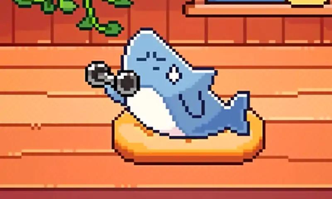 我的小鲨鱼[图1]