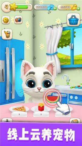 我的猫咪奥斯卡图1