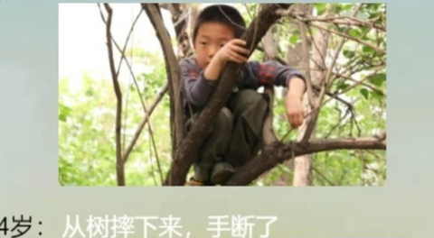 人生重开模拟器配图版[图3]