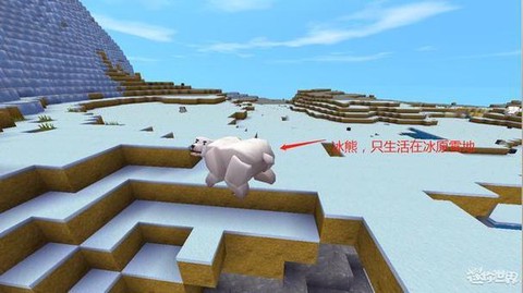 迷你世界企鹅怎么骑