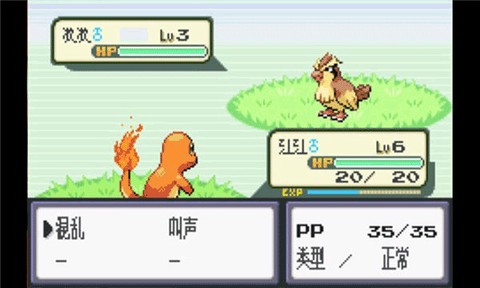 口袋妖怪火红叶绿版图3