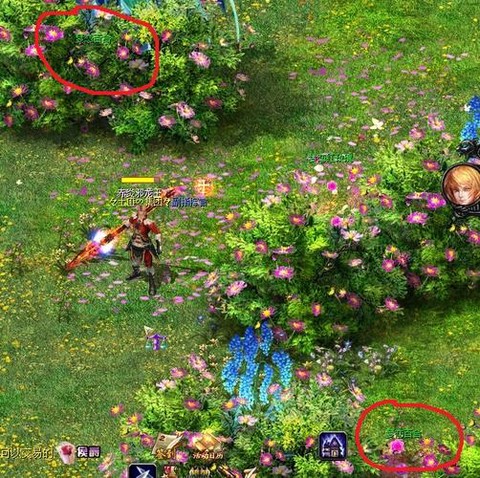 魔域夫妻任务怎么做[图2]