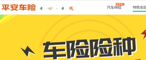 平安好车主[图1]