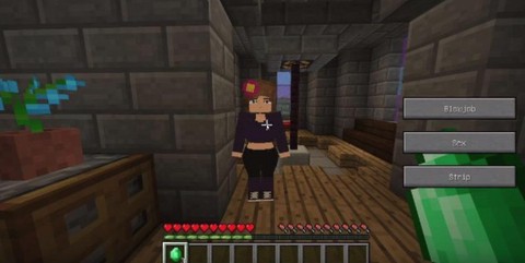 我的世界珍妮冒险[图5]