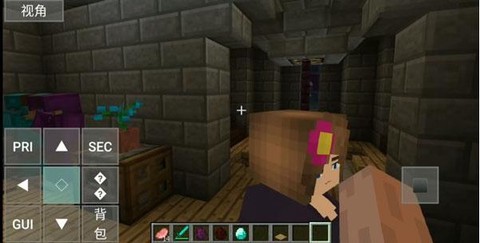 我的世界珍妮冒险[图6]